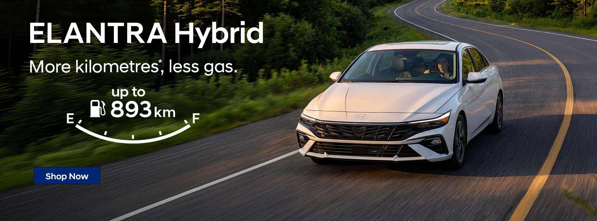 Elantra Hybrid Nanaimo