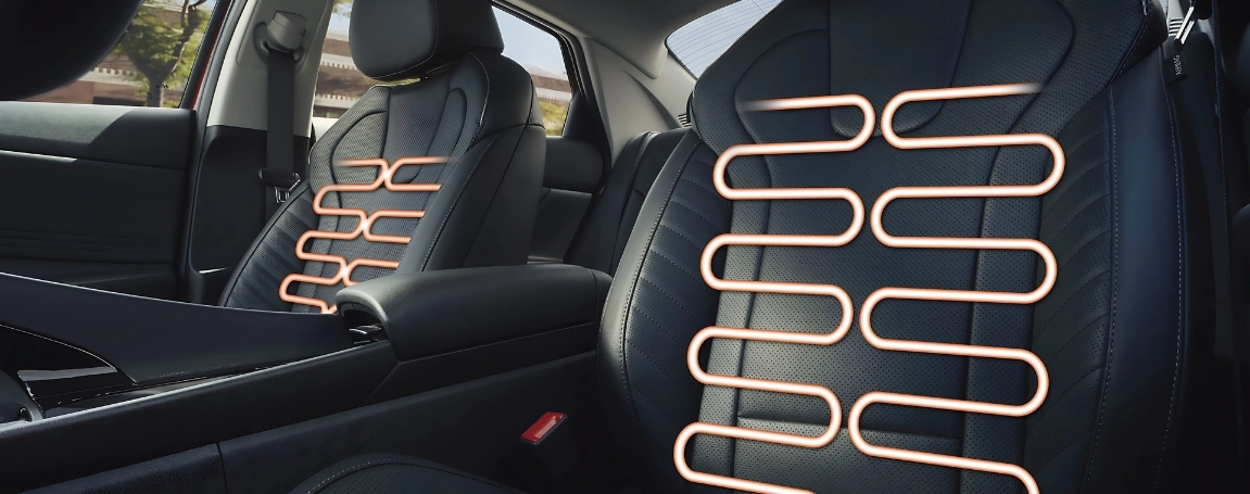 Comfort for Every Ride
