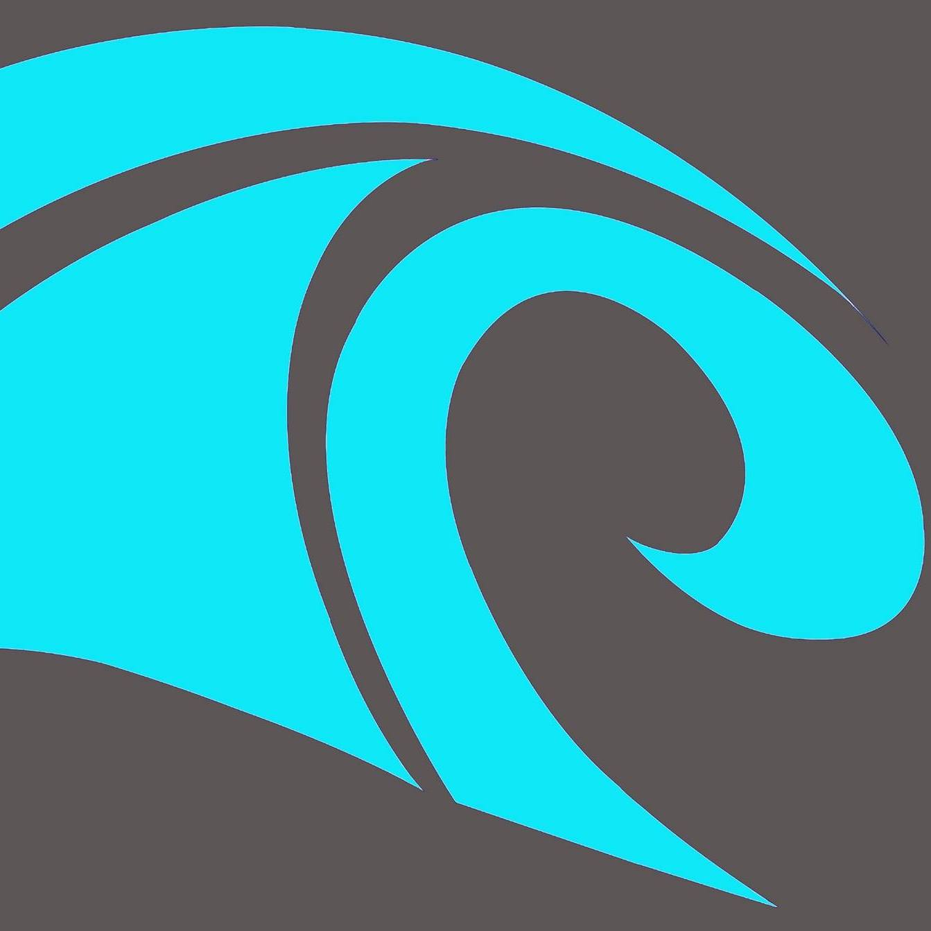 Community Partner