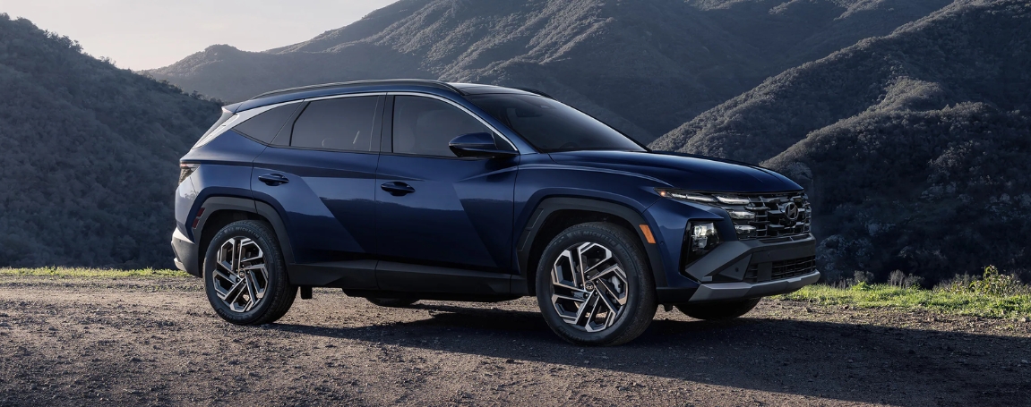 A Fresh Design with a Bold Presence