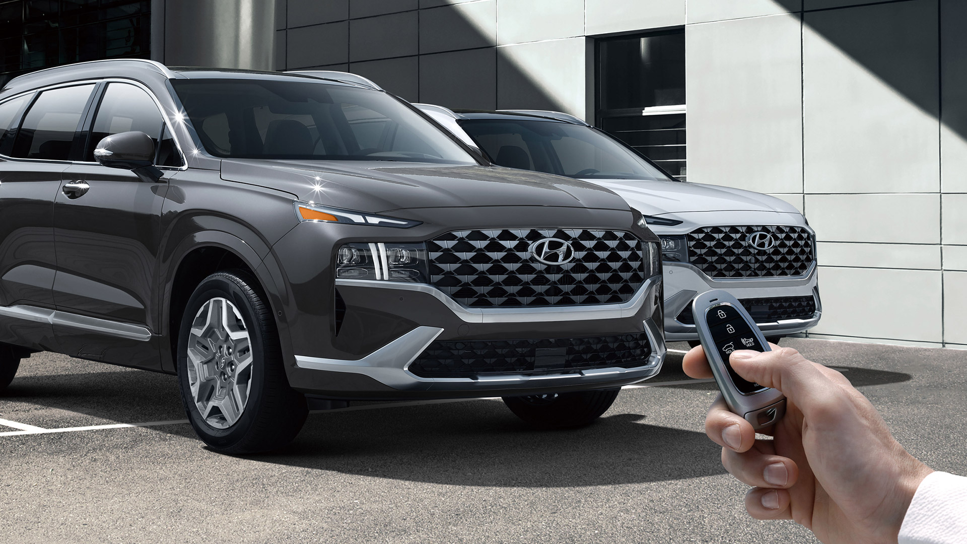 Order online or at a dealer 