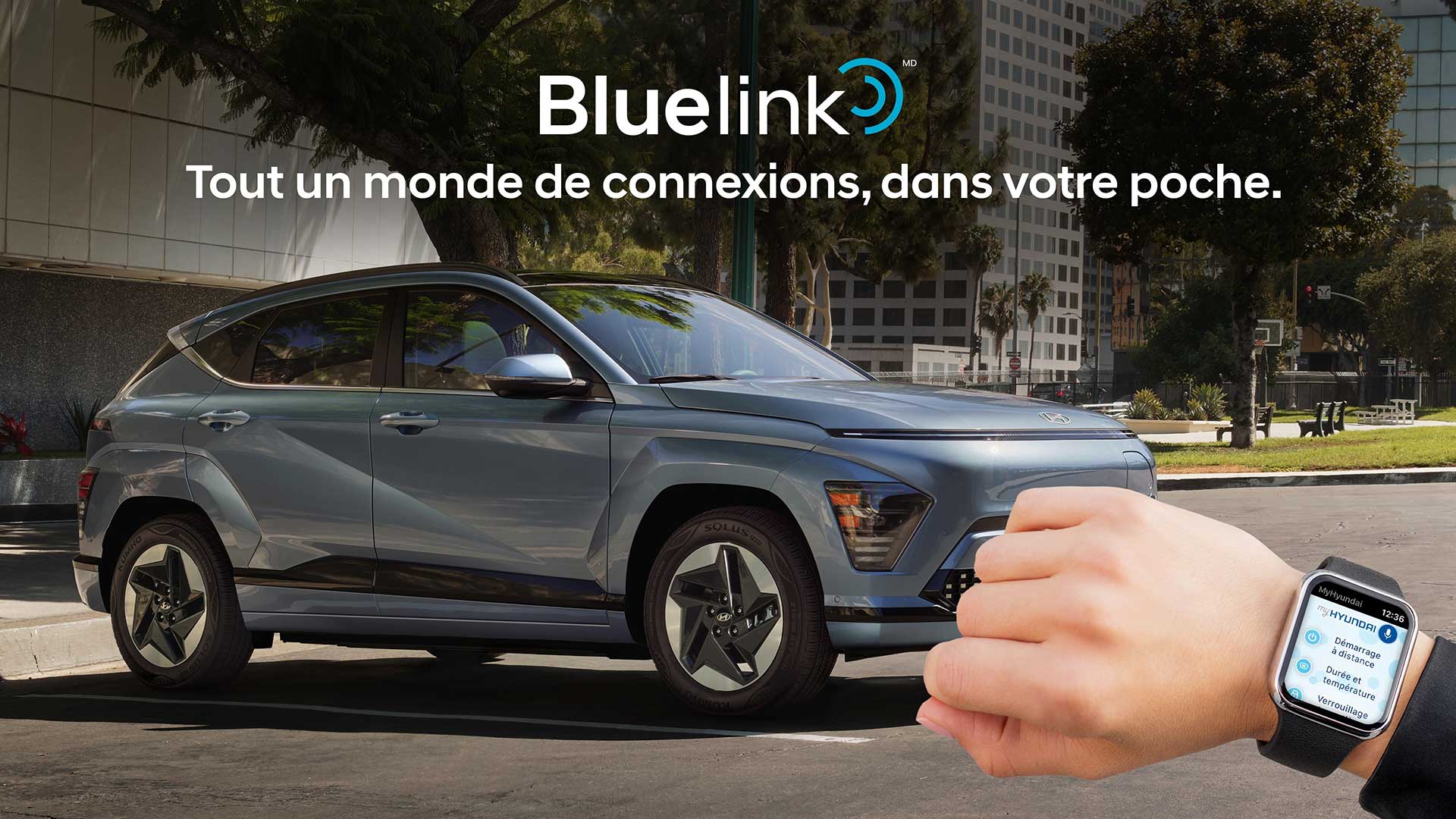 Bluelink A world of connections, right in your pockets.