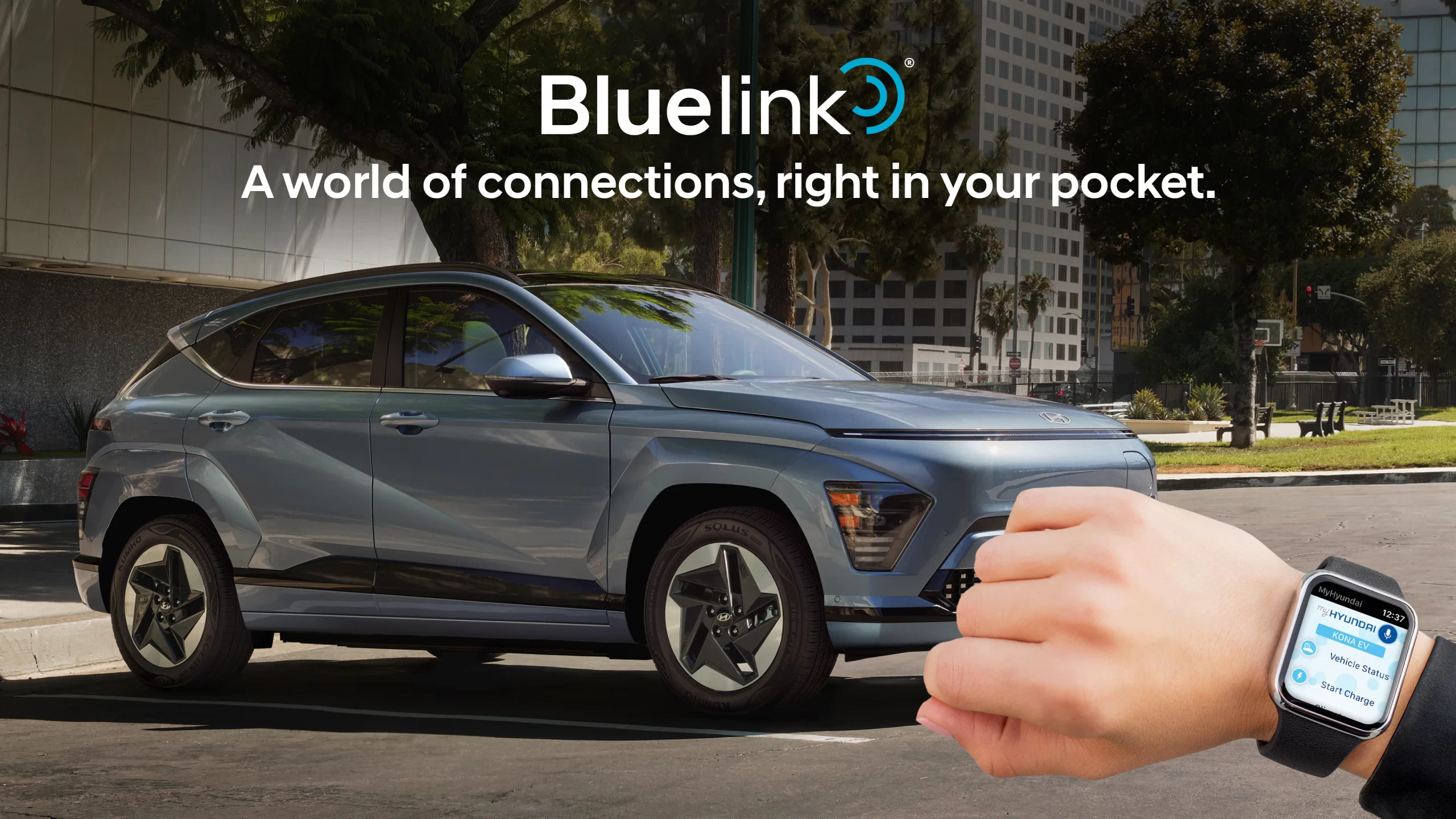 Bluelink A world of connections, right in your pockets.