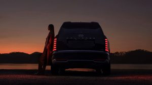 Palisade 2026 - back view, sundown